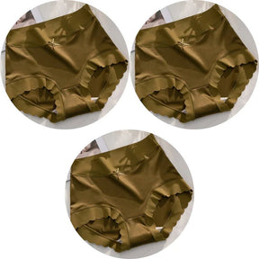 KIT 3 Calcinhas de Seda Premium Antibacteriana sem Costura - Ela e Ela - Cintas Modeladoras
